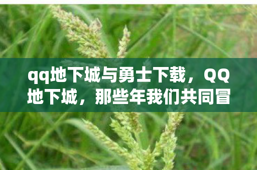 qq地下城与勇士下载，QQ地下城，那些年我们共同冒险的日子