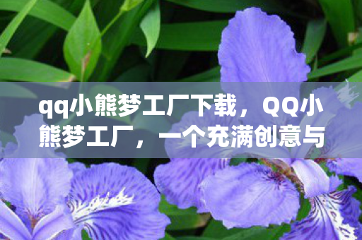 qq小熊梦工厂下载，QQ小熊梦工厂，一个充满创意与乐趣的虚拟世界