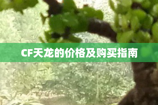 CF天龙的价格及购买指南