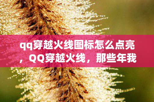 qq穿越火线图标怎么点亮，QQ穿越火线，那些年我们共同走过的火线岁月