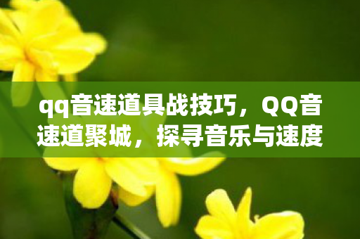 qq音速道具战技巧，QQ音速道聚城，探寻音乐与速度的交汇点