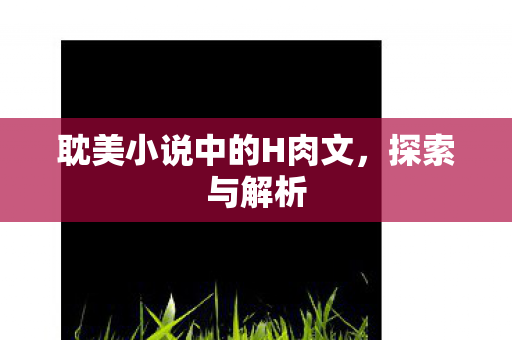 耽美小说中的H肉文，探索与解析