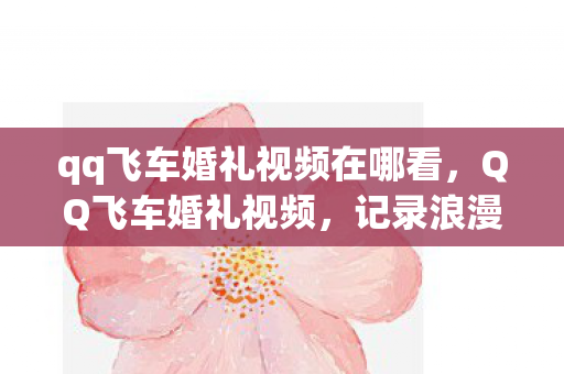qq飞车婚礼视频在哪看，QQ飞车婚礼视频，记录浪漫瞬间，见证爱情的力量