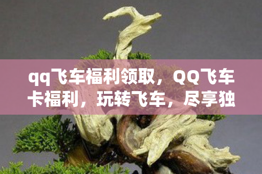 qq飞车福利领取，QQ飞车卡福利，玩转飞车，尽享独家优惠！