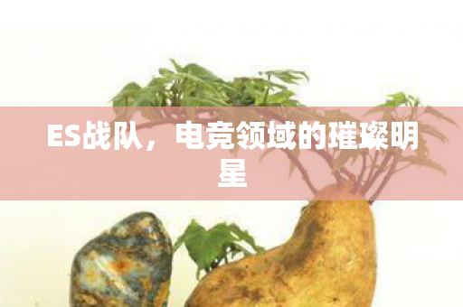 ES战队，电竞领域的璀璨明星