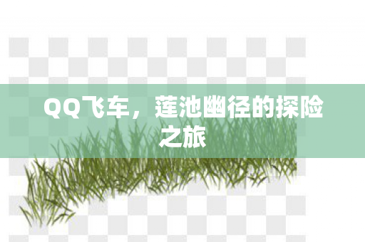 QQ飞车，莲池幽径的探险之旅