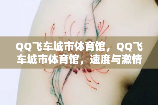 QQ飞车城市体育馆，QQ飞车城市体育馆，速度与激情的碰撞之地