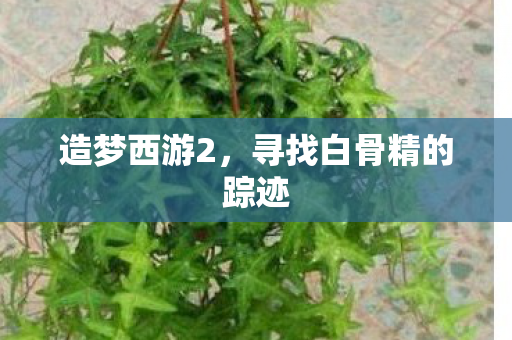 造梦西游2，寻找白骨精的踪迹