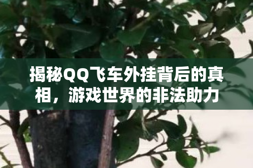 揭秘QQ飞车外挂背后的真相，游戏世界的非法助力