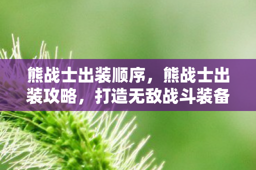 熊战士出装顺序，熊战士出装攻略，打造无敌战斗装备
