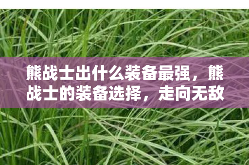 熊战士出什么装备最强，熊战士的装备选择，走向无敌之路的关键装备搭配