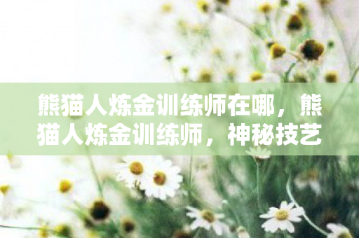 熊猫人炼金训练师在哪，熊猫人炼金训练师，神秘技艺的传承与探索