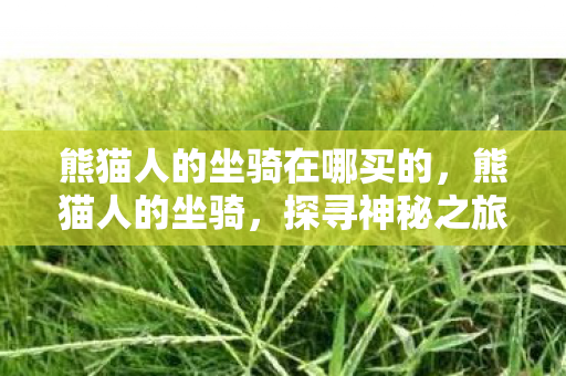 熊猫人的坐骑在哪买的，熊猫人的坐骑，探寻神秘之旅的启程之地