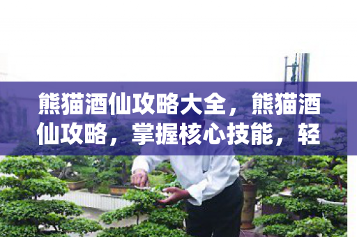 熊猫酒仙攻略大全，熊猫酒仙攻略，掌握核心技能，轻松成为顶尖玩家