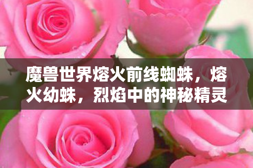 魔兽世界熔火前线蜘蛛，熔火幼蛛，烈焰中的神秘精灵