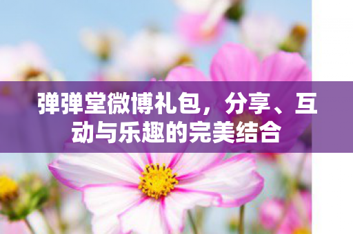 弹弹堂微博礼包，分享、互动与乐趣的完美结合