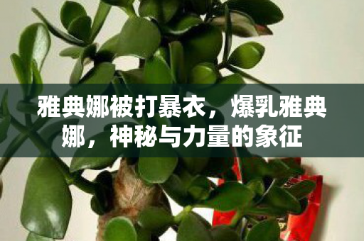 雅典娜被打暴衣，爆乳雅典娜，神秘与力量的象征