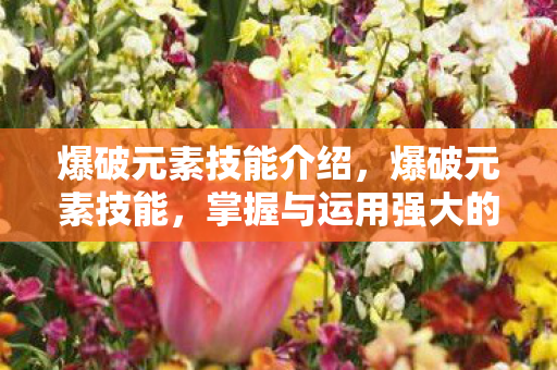 爆破元素技能介绍，爆破元素技能，掌握与运用强大的元素力量