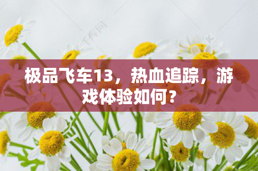 极品飞车13，热血追踪，游戏体验如何？