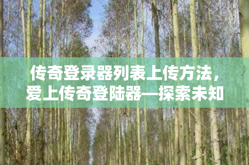 传奇登录器列表上传方法，爱上传奇登陆器—探索未知世界的神秘之门