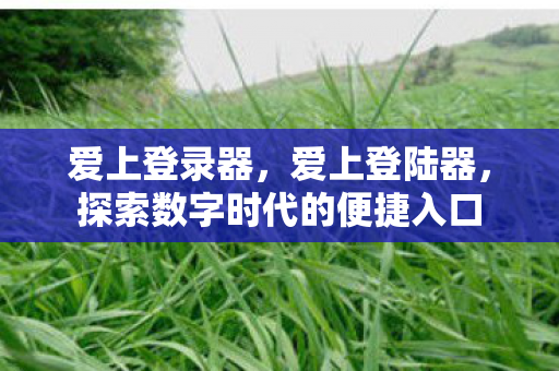 爱上登录器，爱上登陆器，探索数字时代的便捷入口