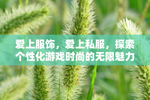 爱上服饰，爱上私服，探索个性化游戏时尚的无限魅力