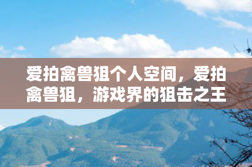 爱拍禽兽狙个人空间，爱拍禽兽狙，游戏界的狙击之王