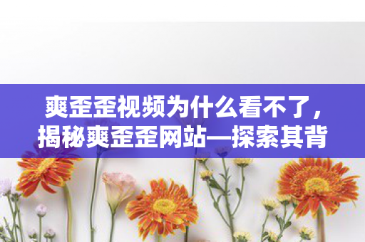 爽歪歪视频为什么看不了，揭秘爽歪歪网站—探索其背后的故事与真相