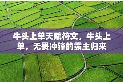 牛头上单天赋符文，牛头上单，无畏冲锋的霸主归来