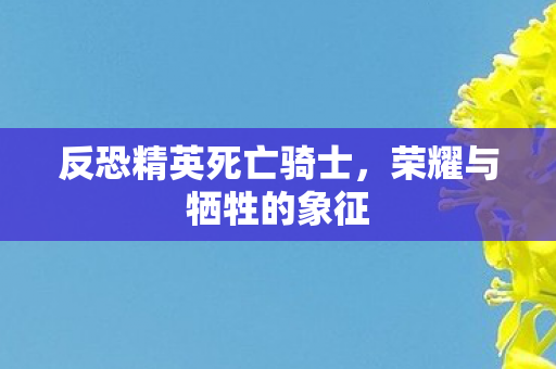 反恐精英死亡骑士，荣耀与牺牲的象征