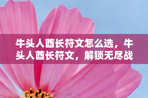 牛头人酋长符文怎么选，牛头人酋长符文，解锁无尽战斗潜力