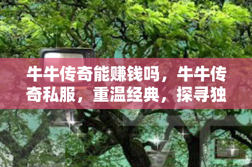 牛牛传奇能赚钱吗，牛牛传奇私服，重温经典，探寻独特魅力