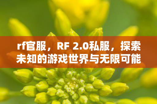 rf官服，RF 2.0私服，探索未知的游戏世界与无限可能