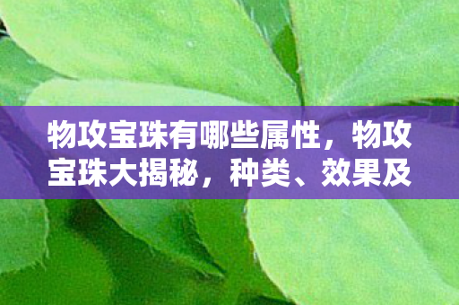 物攻宝珠有哪些属性，物攻宝珠大揭秘，种类、效果及应用指南