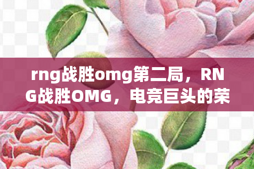 rng战胜omg第二局，RNG战胜OMG，电竞巨头的荣耀时刻