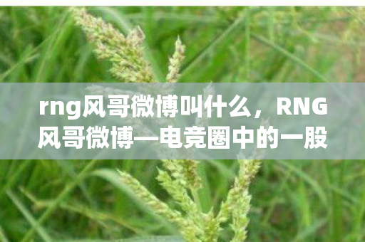 rng风哥微博叫什么，RNG风哥微博—电竞圈中的一股清流