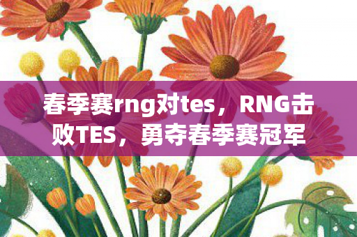 春季赛rng对tes，RNG击败TES，勇夺春季赛冠军