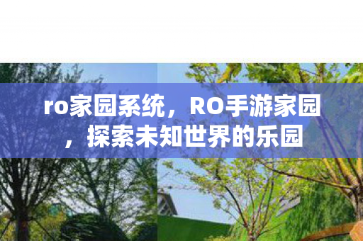 ro家园系统，RO手游家园，探索未知世界的乐园