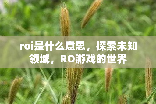 roi是什么意思，探索未知领域，RO游戏的世界