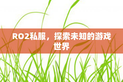 RO2私服，探索未知的游戏世界
