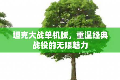 坦克大战单机版，重温经典战役的无限魅力