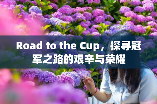 Road to the Cup，探寻冠军之路的艰辛与荣耀