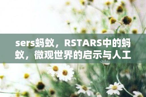 sers蚂蚁，RSTARS中的蚂蚁，微观世界的启示与人工智能的启示