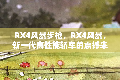 RX4风暴步枪，RX4风暴，新一代高性能轿车的震撼来袭