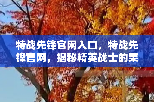 特战先锋官网入口，特战先锋官网，揭秘精英战士的荣耀与使命