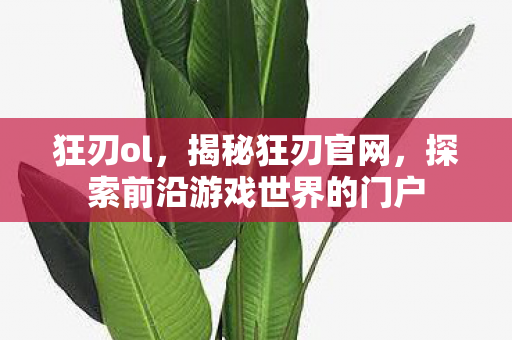 狂刃ol，揭秘狂刃官网，探索前沿游戏世界的门户