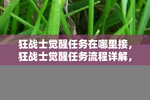 狂战士觉醒任务在哪里接，狂战士觉醒任务流程详解，从新手到觉醒大师的全面攻略