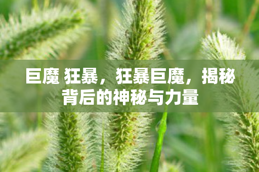 巨魔 狂暴，狂暴巨魔，揭秘背后的神秘与力量