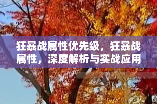狂暴战属性优先级，狂暴战属性，深度解析与实战应用策略