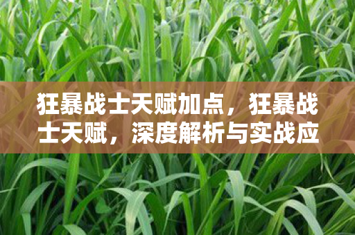 狂暴战士天赋加点，狂暴战士天赋，深度解析与实战应用策略